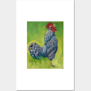 Rocky the Barred Rock Rooster Posters and Art